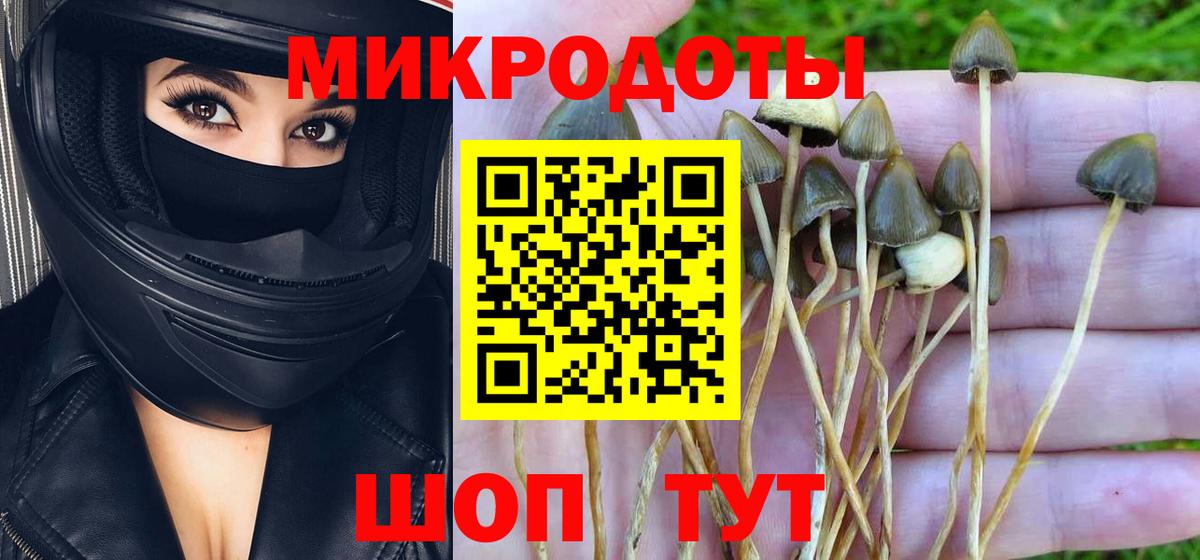 Галлюциногенные грибы MAGIC MUSHROOMS  Вход с VPN  Касимов  Псилоцибиновые грибы Psilocybine cubensis 