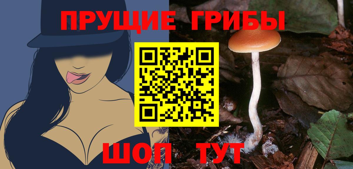 Псилоцибиновые грибы мухоморы Касимов
